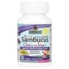 Nature's Answer Sambucus Chewable Tablets for Children, with Black Elderberry, Vitamin C and Zinc, 45 Tablets