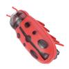 7Pcs Pet Mini Cute Ladybug Shape Electric Funny Toy Playing Interactive with Battery for Cat