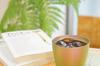 HORIE Made in Niigata Prefecture Titanium Double Tumbler 250cc Spring Color T15HI250 Tsubame,