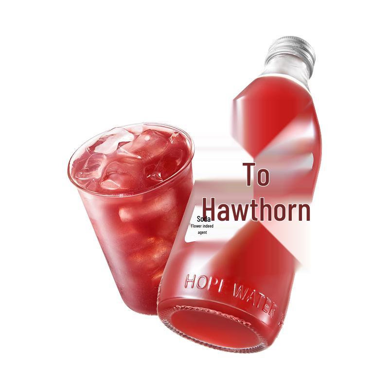Haowangshui Sparkling Fruit Juice