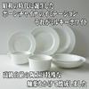 Milky White 26cm Chinese Plate Set of 5 Coupe Dish Plate Microwaveable Dishwasher Safe Mino Ware Made in Japan Outlet Included Large Plate Porcelain