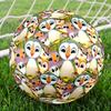 Puffin Rock Theme Size 5 Soccer Ball, Suitable for Both Indoor and Outdoor Matches, a Gift Suitable for Everyone.