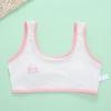 Girls Bra Underwear Lingerie Kids Teens Teenage Training Bra Kids Vest 8-14Y