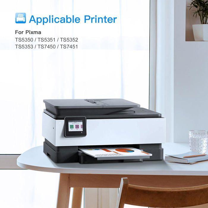 Pack de 2 cartouches d'encre HOME FIT TRAINING compatibles Canon PG-560XL CL-561XL pour Pixma TS5350 TS7450