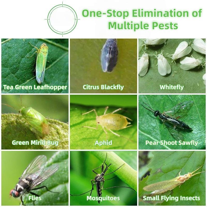 Insect Proof Adhesive Tape Outdoor Garden Insect Trap Tape