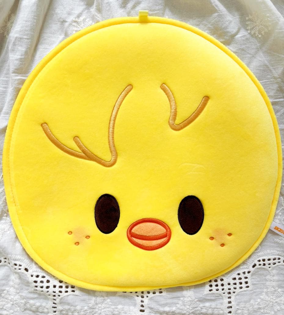 [USED] Stray Kids SKZOO Seoul Concert Fan Case Pogari