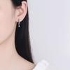 Ni Style 925 Silver Earrings Inlaid Turquoise Crystal Zircon Earrings Woman Charm Jewelry Gift