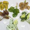 Green Leaf Artificial Plant Decor For Home Living Room Background Wall With Realistic Texture