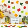 Geyee 216 Pcs Fall Bulletin Board Decorations Fall Leaves Pumpkin Acorns Cutouts Colorful Autumn Paper Cut Outs for Kids School Classroom Bulletin