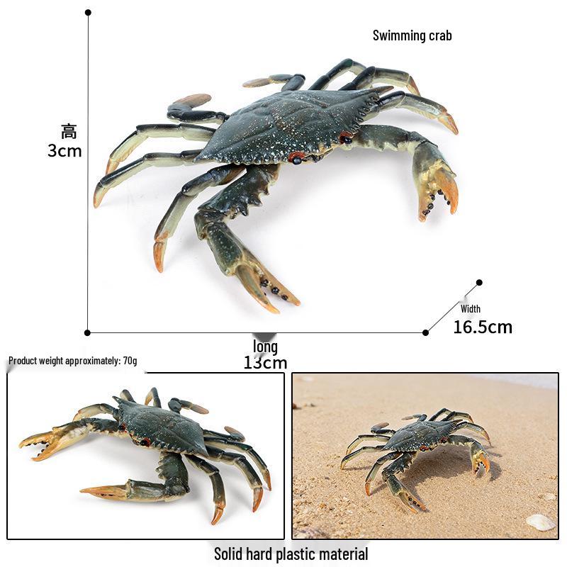 Ocean Crab Simulation Toy Set: Includes Hermit, Swimming, and Three-Spot Plastic Models
