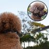 NESTROAD Dog Collar Leash Suitable for and Large All Leash Breathable Easy to Put for Walks and Training & Set, Adjustable, Reflective, Small, Medium,