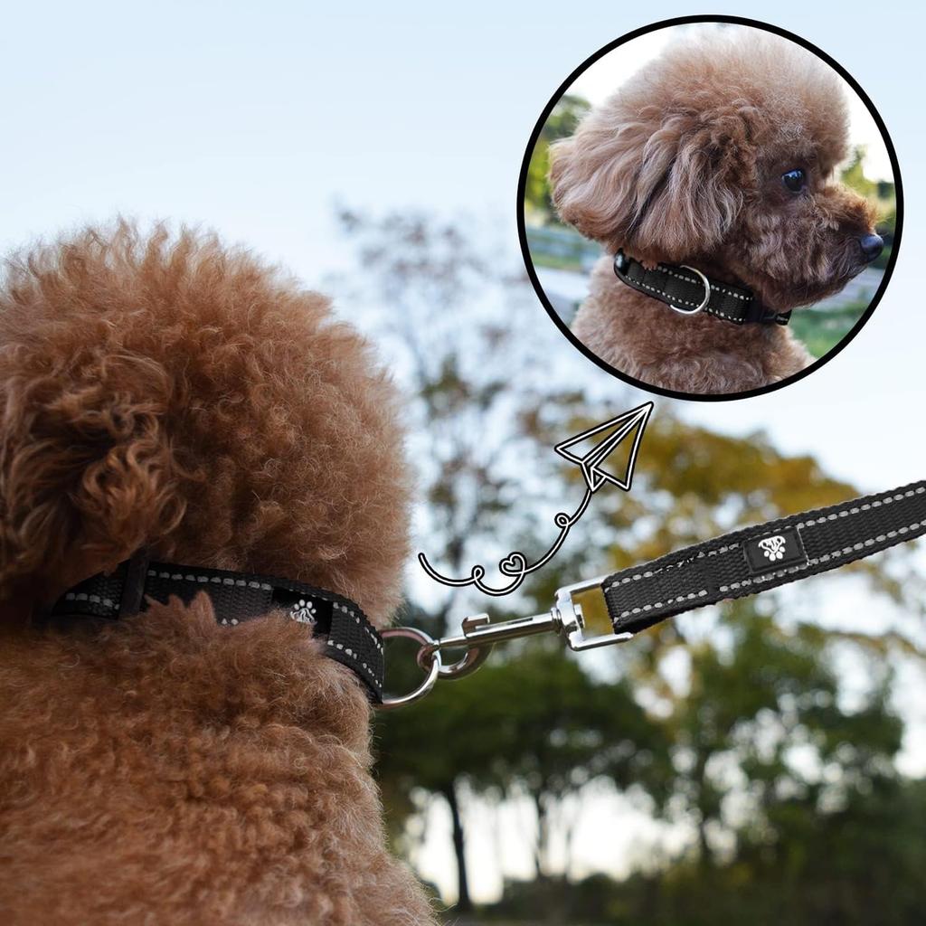 NESTROAD Dog Collar Leash Suitable for and Large All Leash Breathable Easy to Put for Walks and Training & Set, Adjustable, Reflective, Small, Medium,