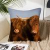 Scottish Highland Cattle Pillow Case Fashion Square Pillowcase Bedroom Sofa Room Ins Decoration Leisure Cushion Cover 40x40