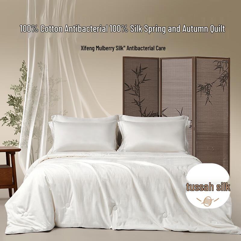 

BEYOND HOME TEXTILE Cotton Jacquard Tussah Silk Quilt