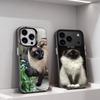 Funny Siamese Cats Cute For iPhone 11,12,13,14,15,16,17,Pro,Max,Plus,E,Air,Mini Phone Case IMD Matte Black