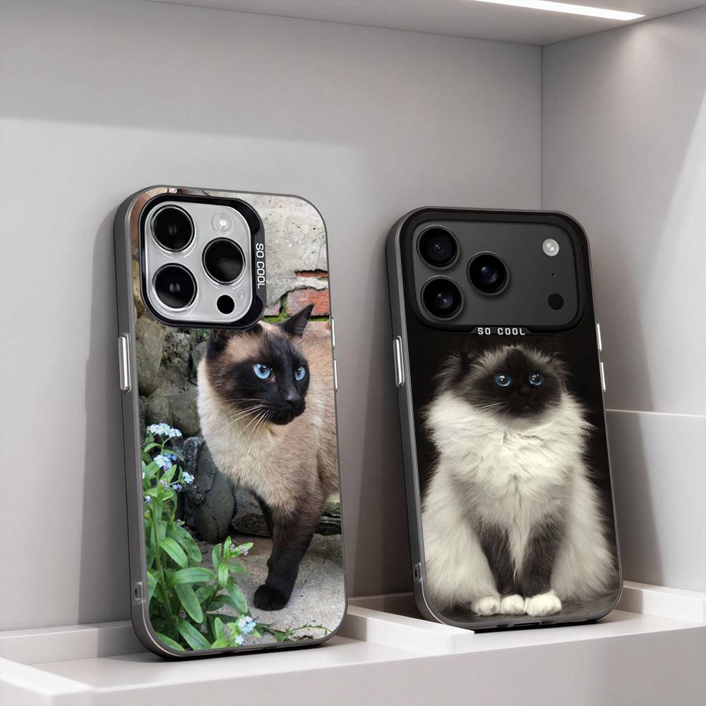 Funny Siamese Cats Cute For iPhone 11,12,13,14,15,16,17,Pro,Max,Plus,E,Air,Mini Phone Case IMD Matte Black