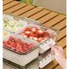Camping & Picnic Food Storage Container