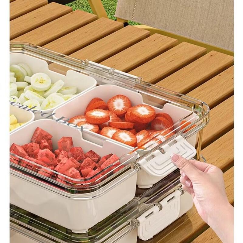 Camping & Picnic Food Storage Container