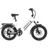 Bodywel F20 Folding Electric Snowmobile 500W Motor 48V13.5Ah Battery City E-Bike 20 Inch Anti-Skid Wide Tire Outdoor Riding Electric Bicycle