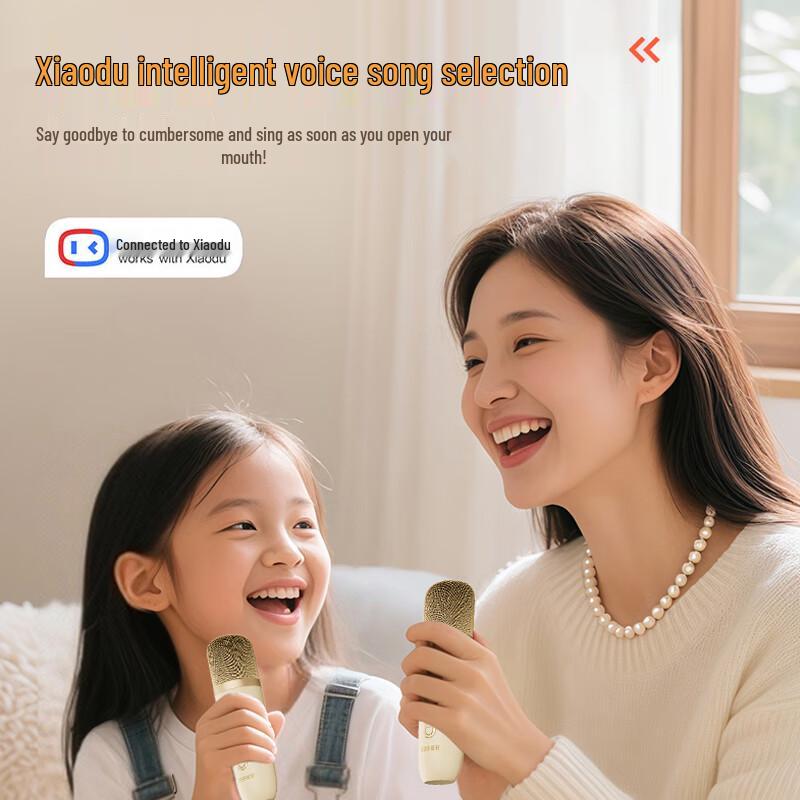 Edifier Portable KTV Karaoke System