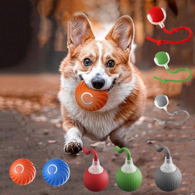 Hunde – Hundespielzeug