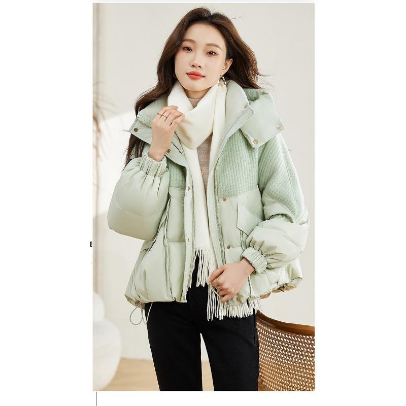 Winter Women's Small, Short, Thick and Loose Cotton Clothes, Fashionable and Warm Hooded Jacket