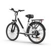 URLIFE-E26 36V Elektrofahrrad 250W Bürstenloser Motor, 36V 13Ah Abnehmbarer Akku, Stadtwanderung & Tägliche Fahrt