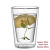 Shangqi Double Wall Borosilicate Glass Tea Cup