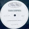 12inch Record TEVIN CAMPBELL  Goodbye DUORM13026 REMIX200XGER 2003 Japan Rap  HipHopRB Used
