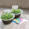 20pcs Garden Plant Labels Plastic Plant T-type Tags Marker 60*100mm Flower Seedling Potted Bonsai Succulent Garden Label White
