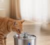 Automatic Pet Water Dispenser with Circulating Flow for Cats & Dogs