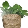 Nordic Style Hugging Plant Set: Woven Straw Flower Pot for Living Room & Balcony Decoration