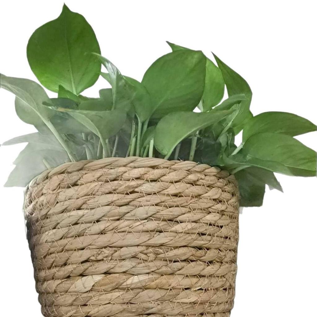 Nordic Style Hugging Plant Set: Woven Straw Flower Pot for Living Room & Balcony Decoration