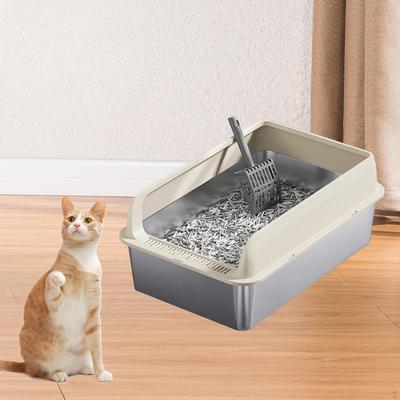 Gatos – Cuidados e higiene