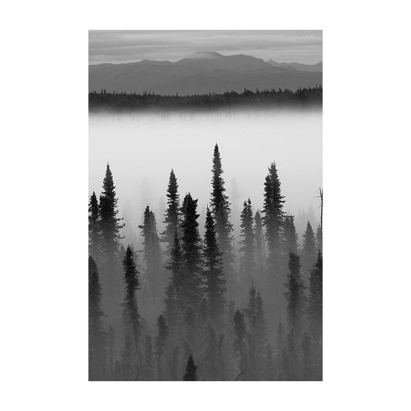 Lesní Jelen Orel Černobílý Krajina Plakát Skandinávská Minimalistická Malba Severské Nástěnné Umění Obrázek Plátno Tisky Pokojová Dekorace