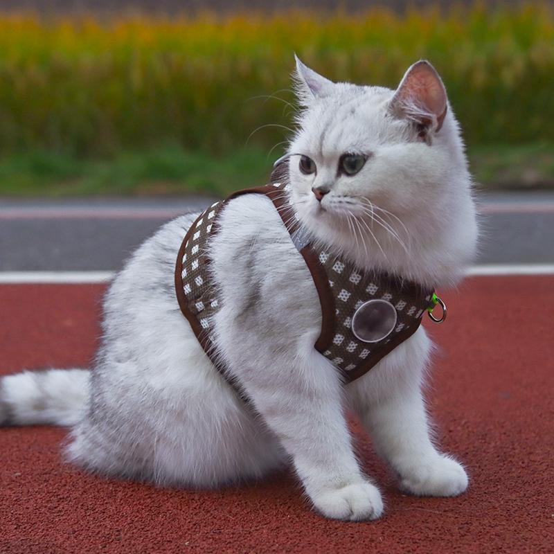 Pet Dog Cat Harness with Leash Reflective Strap Harness