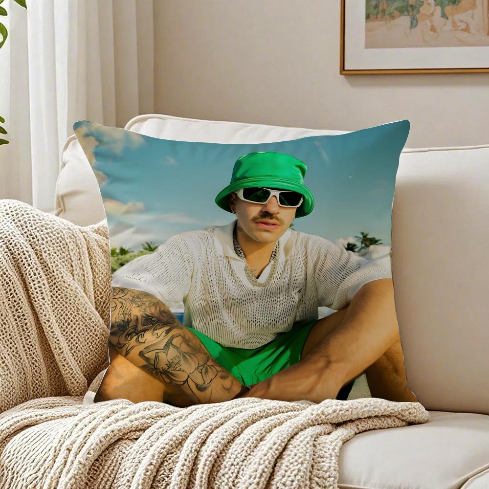 Hot Singer Ffeid Cushion Cover Plush Decorative Pillow Case With Hidden Zipper Cutecore Room Decor For Home