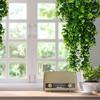 Hang Artificial Plants Rattan Eucalyptus Wall Hanging Simulation Greenery Fake Hanging Plants Vine Home Outdoor Decor Plant