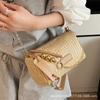 Strohtasche Damenhandtasche 2025 neue Mode Ketten-Umhängetasche Mini gewebte Schulter-Kissen-Tasche Rattan Strandtasche