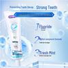 Sakurajoy Anti-Cavity Toothpaste & Toothbrush Set