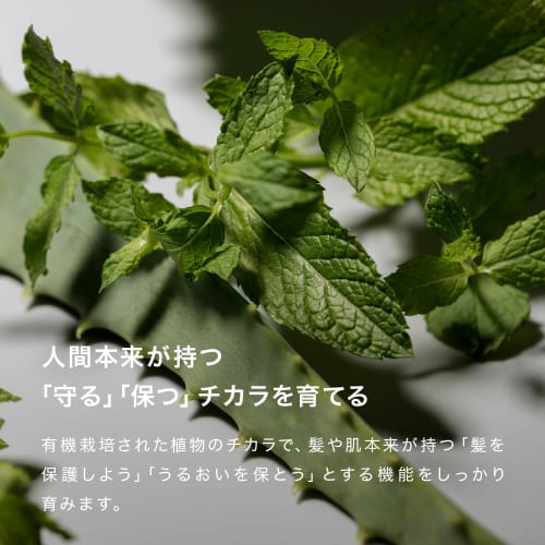 Mama Baby Baby Shampoo x Body Soap Set, Additive-free, Organic, Sensitive skin, Can be used by parents and children (500mL x 500mL)