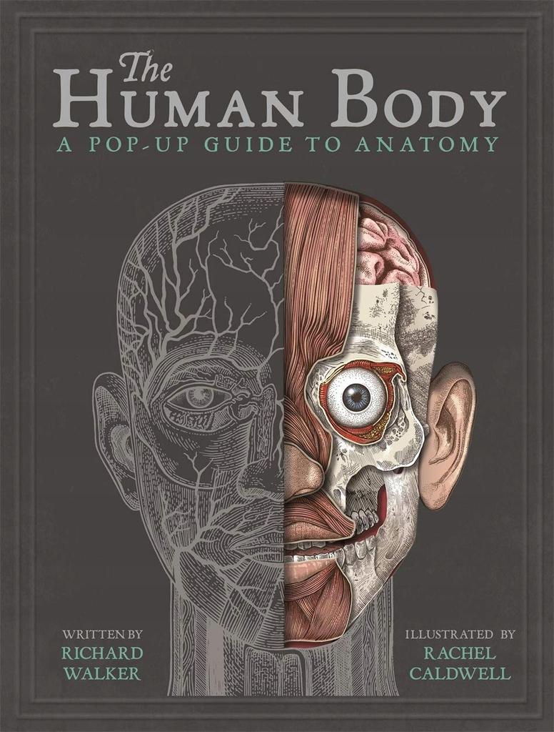 Der menschliche Körper: ein Pop-up-Leitfaden für Anatomy Walker