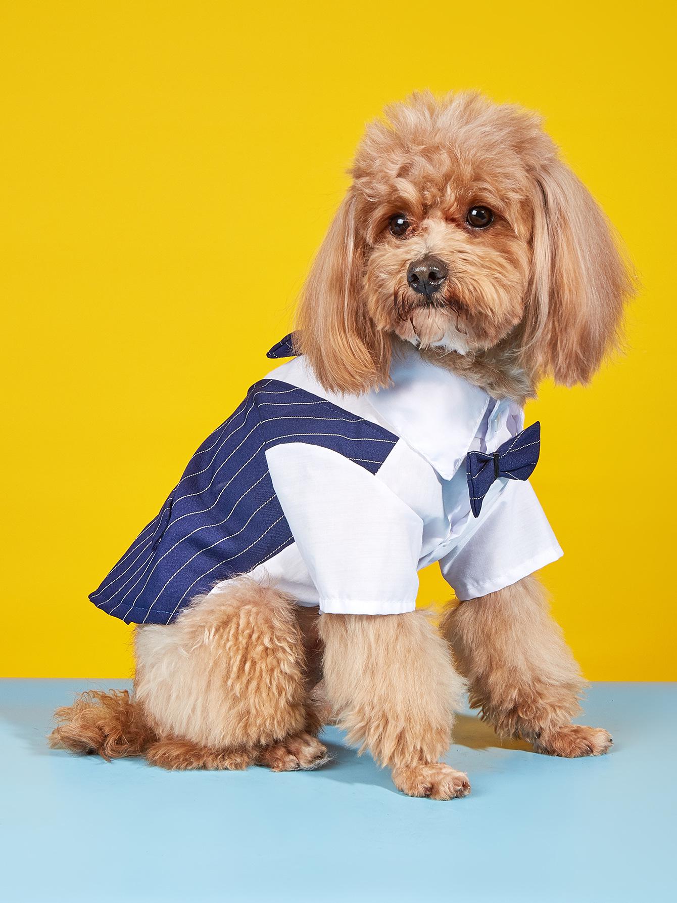 

Весенне-летнее хлопковое платье для питомца и рубашка с галстуком для собак - Bichon & Teddy-Friendly M for 2-3 kg pets