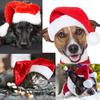 Pet Red Christmas Hat - Festive Little Red Riding Hood for Dogs & Cats