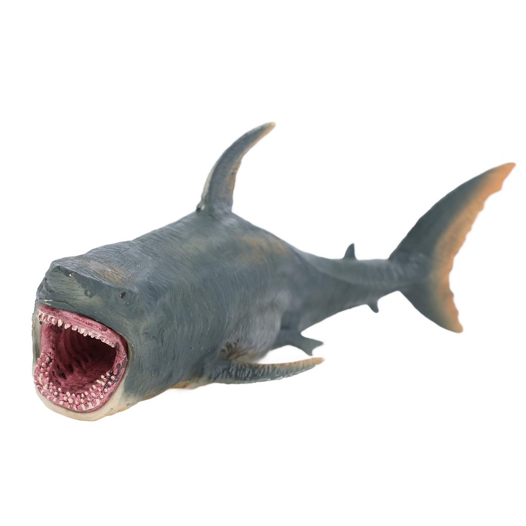 Simulation Shark Model Lifelike Vivid Educational Fish Model Toy Marine Animal Toy for Kids