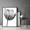 Picture poster In a frame 53x73 cm Flower P1038