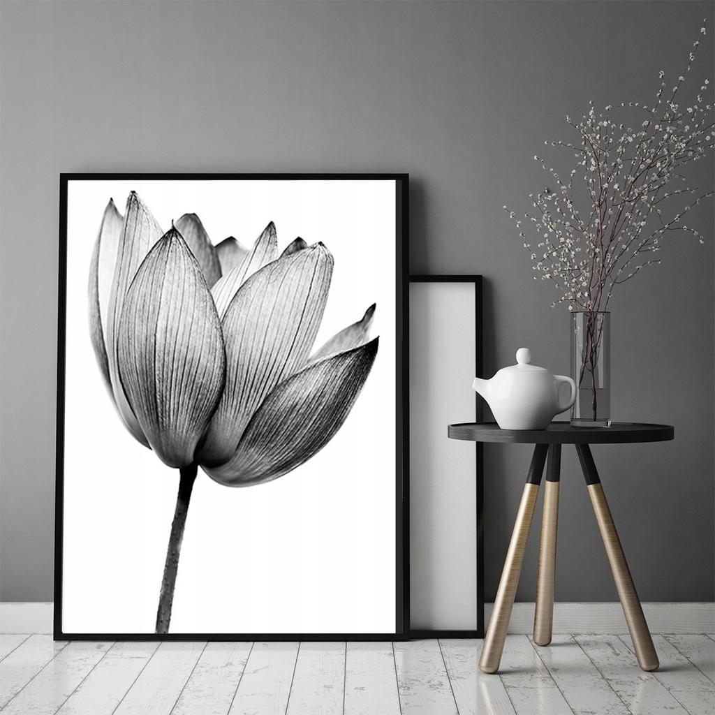 Picture poster In a frame 53x73 cm Flower P1038