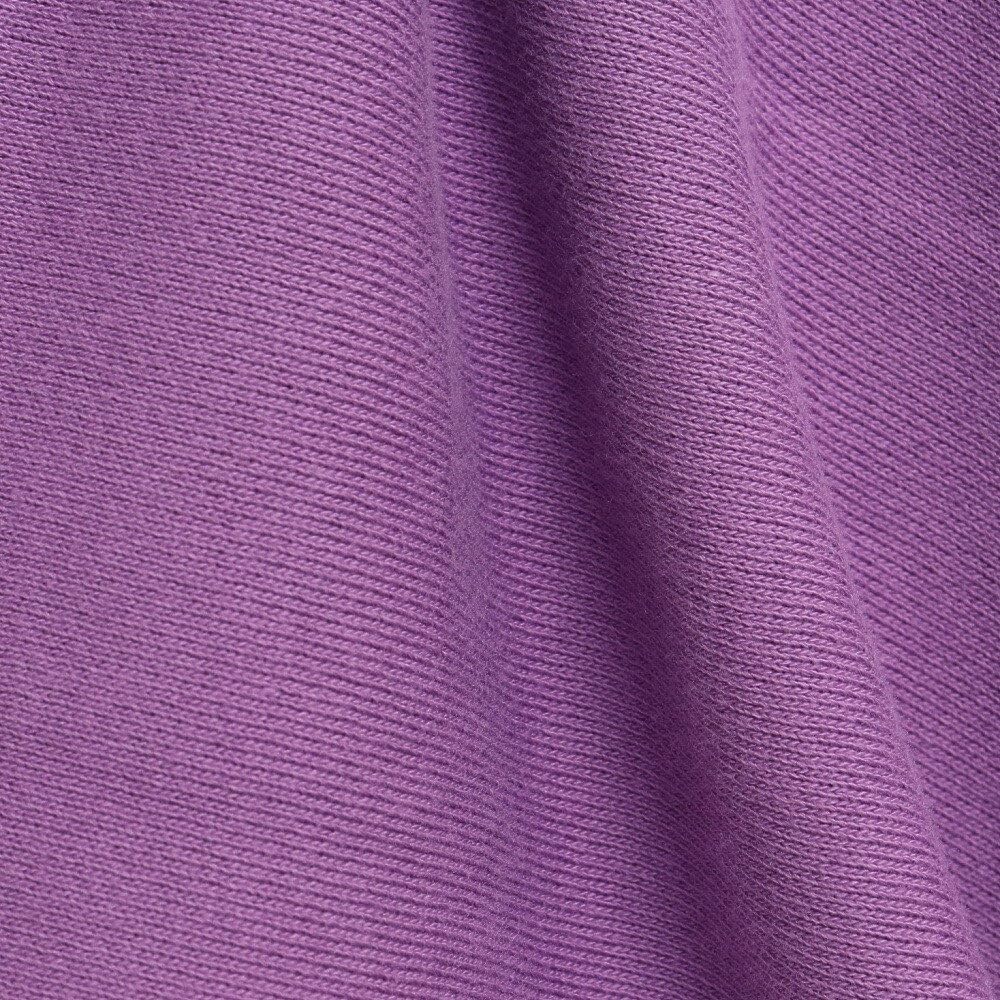 Champion Long Sleeve Cotton 10oz Ribbed Knit Reverse Weave Hooded Sweatshirt Size M Women's 100% (CW-W102), Purple,