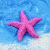 Cute Simulation Starfish Mini Sea Stars Decoration Starfish Ornaments  Aquarium