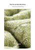 Women's Long Sleeve Cashmere Knit Sweater - Round Neck, Loose Fit, Warm & Slimming Pullover